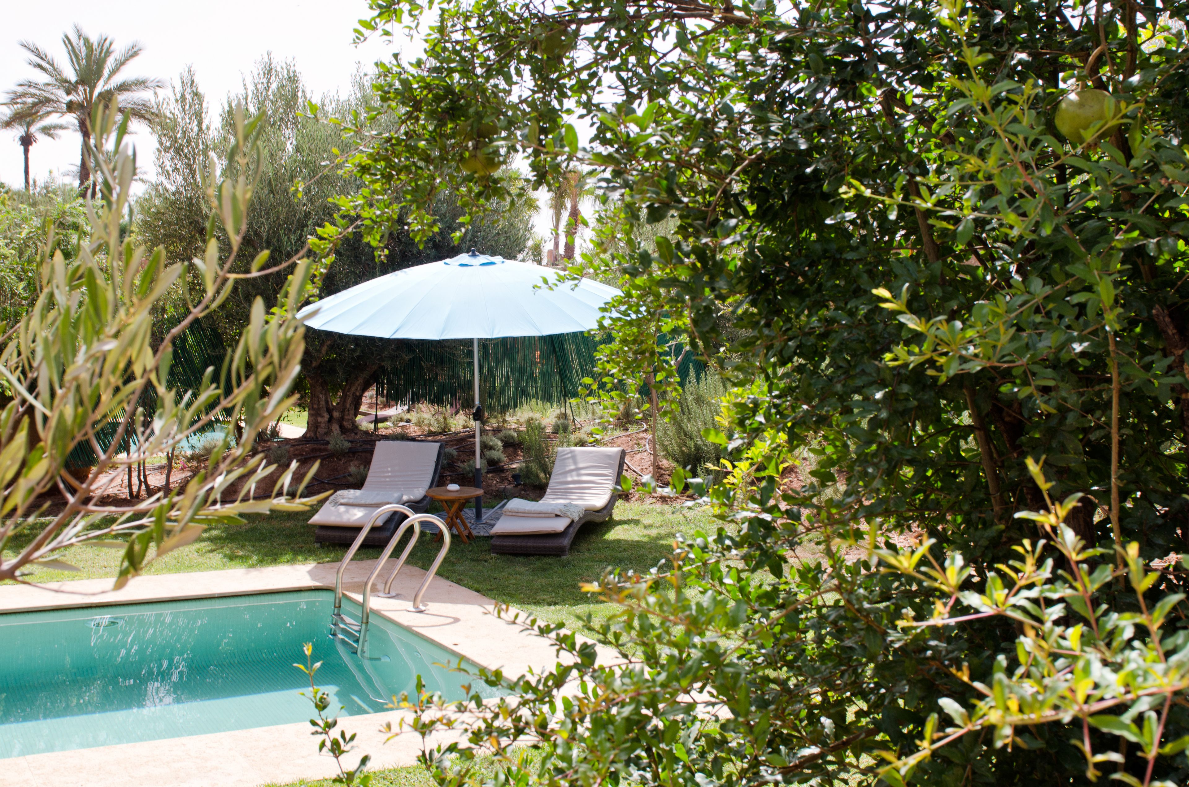 A pool area with lounge chairs and an umbrella.