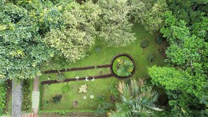 Garden - Ficus Sunset Suites (Monteverde)