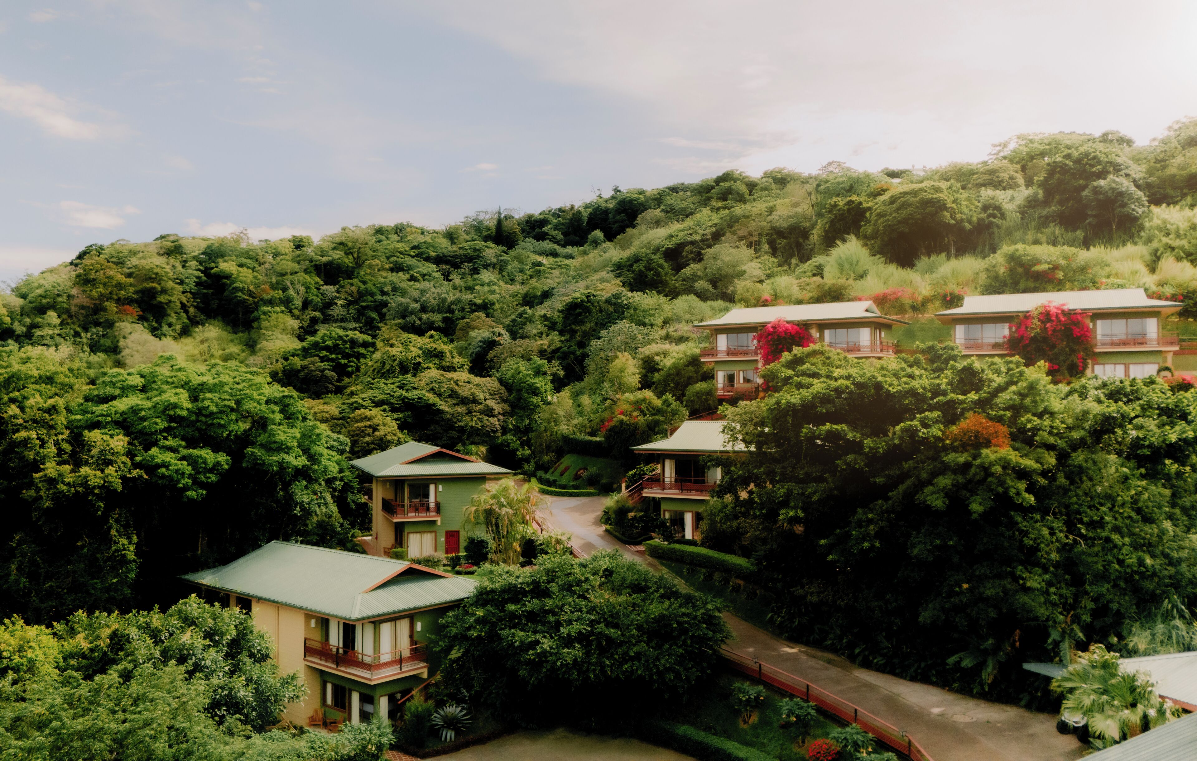 Photo - Ficus Sunset Suites