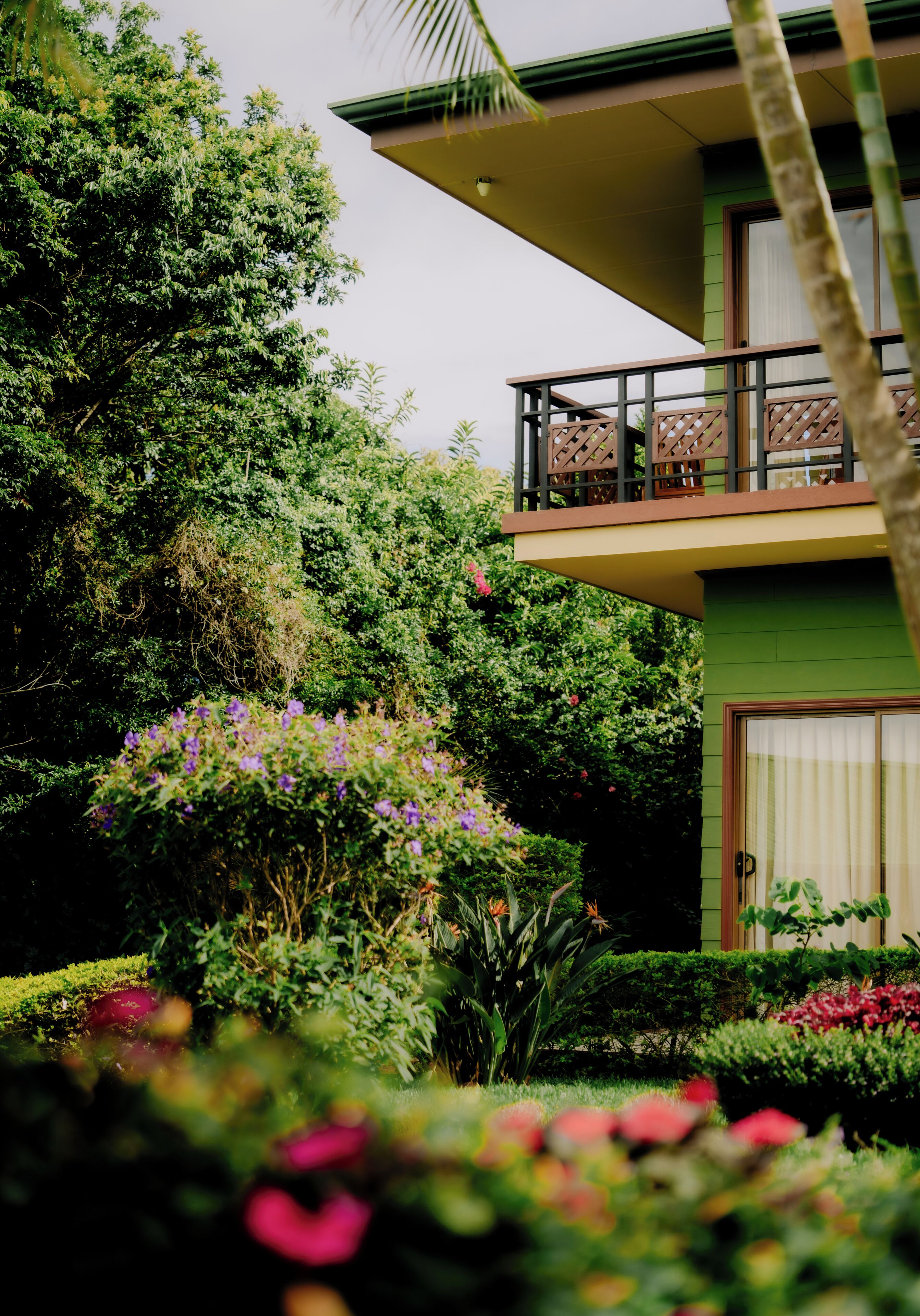 Photo - Ficus Sunset Suites
