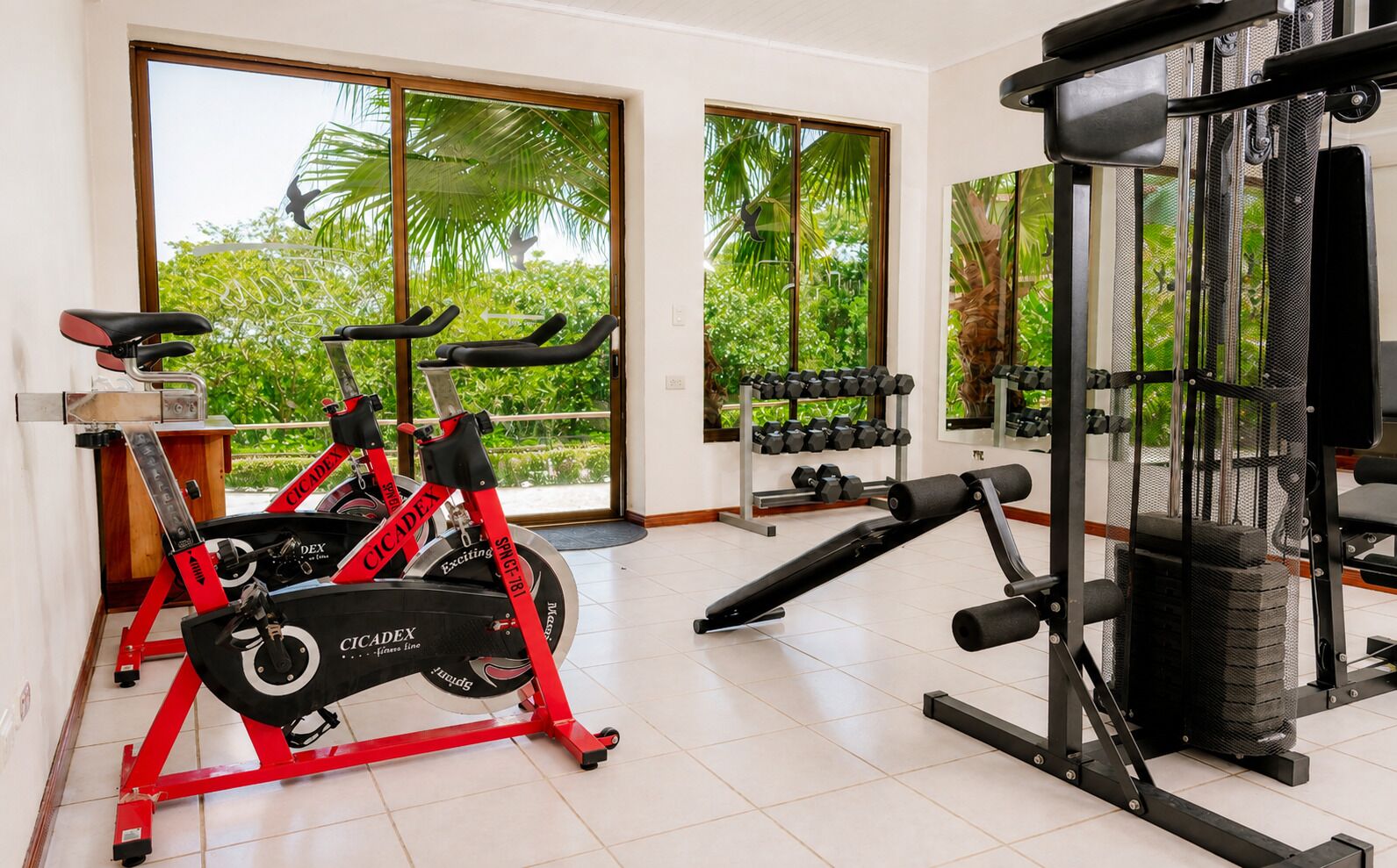 Foto - Ficus Sunset Suites