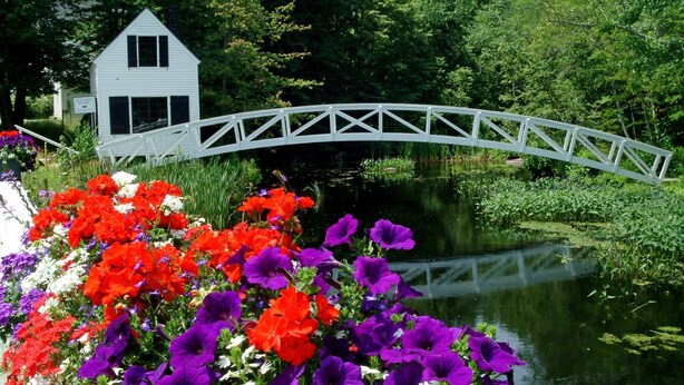 A white house with a white bridge over a pond, surrounded by vibrant flowers. - Kimball Terrace Inn Northeast Harbor (Northeast Harbor)