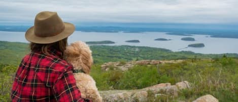 A person in a plaid shirt and hat overlooking a lake with multiple islands.