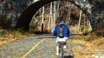 A cyclist riding under a stone bridge with a forested area on either side.