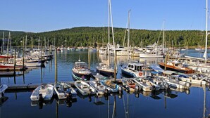 A marina with various boats docked, surrounded by a forested area. - Kimball Terrace Inn Northeast Harbor (Northeast Harbor)