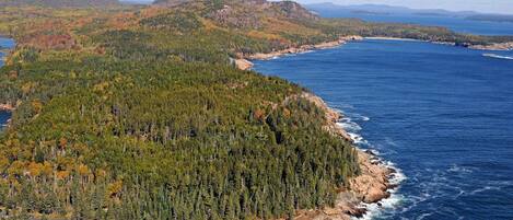 A coastal landscape with dense forests, rocky coastline, and distant mountains.