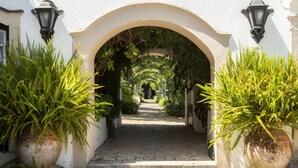 Un vialetto ad arco, affiancato da grandi piante in vaso, conduce all'ingresso di un edificio.