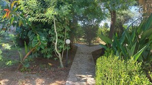 Un chemin de pierres serpente à travers un jardin luxuriant, où l’on trouve une grande variété de plantes et d’arbres.
