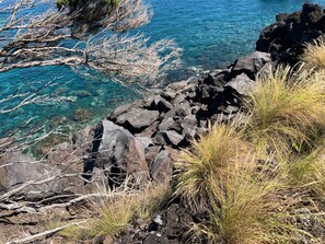 A rocky coastline with clear blue water and sparse vegetation. - Casa das Barcas (Sao Roque do Pico)