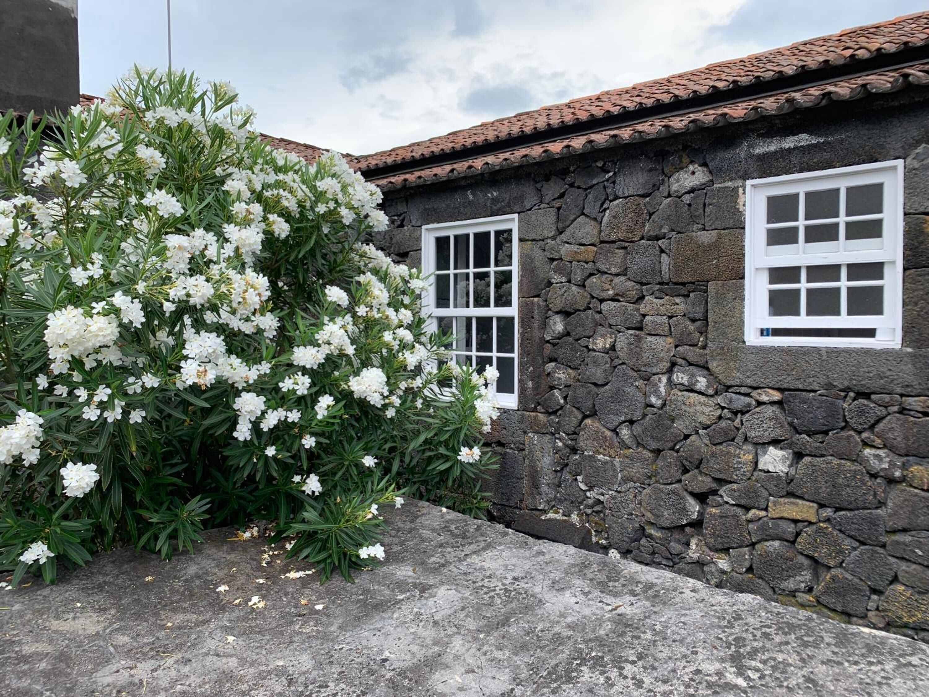 A stone building with a tiled roof and two white-framed windows.