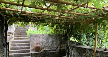 Casa das Barcas