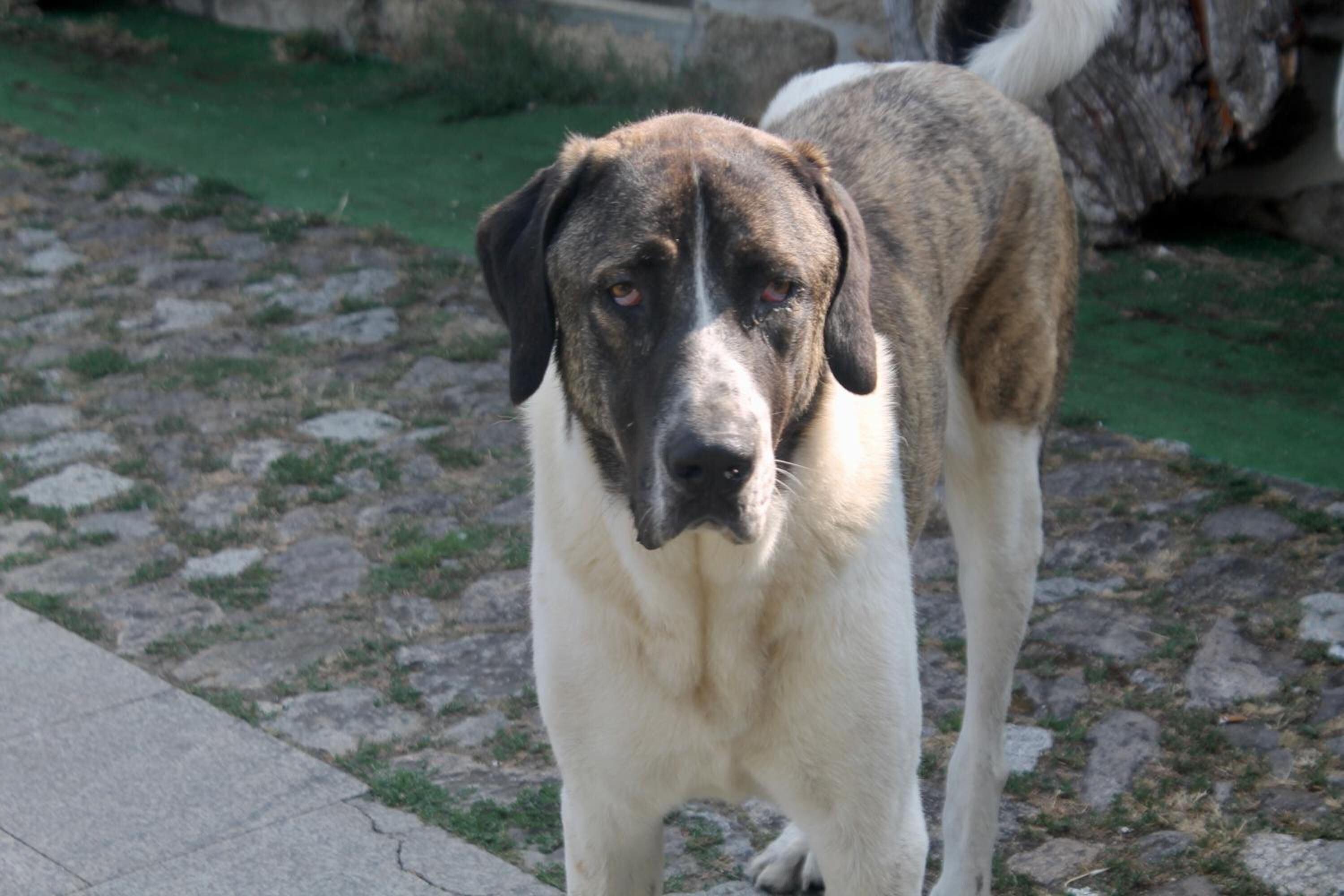 Foto - Quinta da Mata - Turismo de Habitação