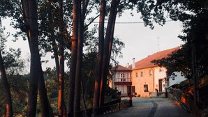 A building with a traditional architectural style, surrounded by tall trees and a gravel path leading to the entrance. - Quinta da Mata (Chaves)