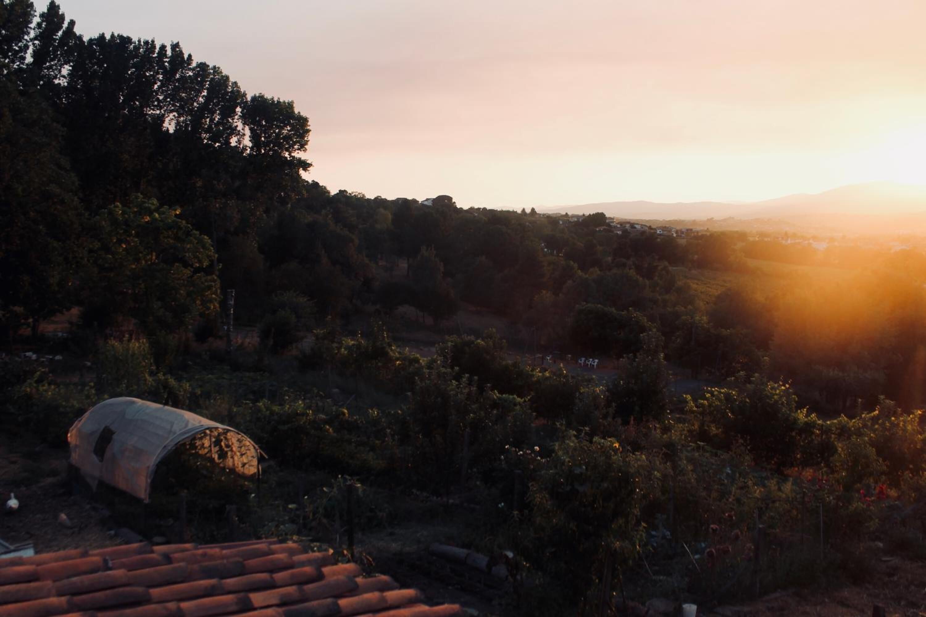 Foto - Quinta da Mata - Turismo de Habitação