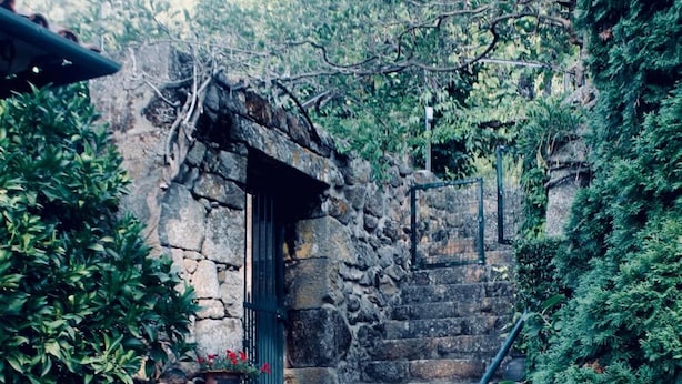 A stone staircase leading to a door, surrounded by greenery. - Quinta da Mata (Chaves)