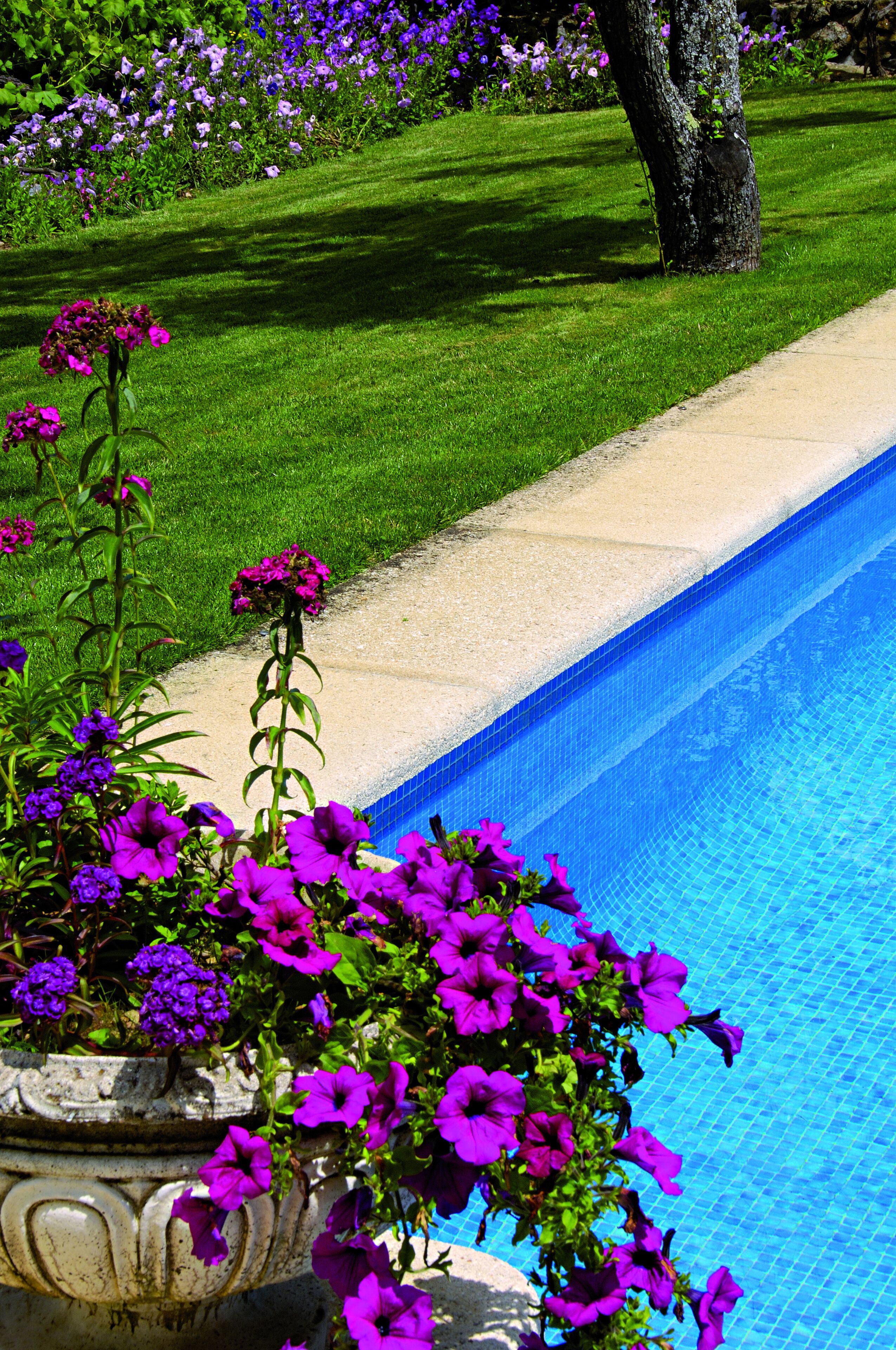 Foto - Quinta da Mata - Turismo de Habitação