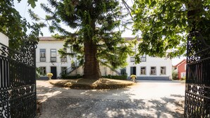 Un cortile con un grande albero, un vialetto in pietra e un edificio con numerose finestre e balconi.
