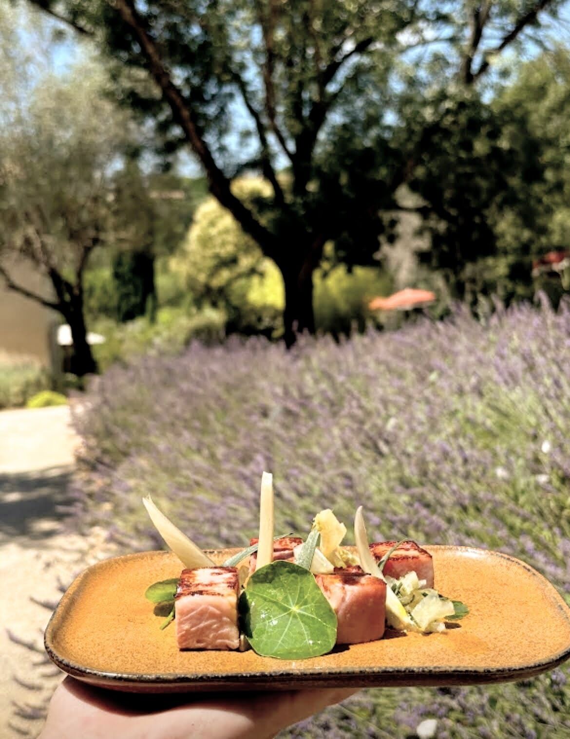 A plate of food with grilled salmon and vegetables, held in front of a lavender field and trees.