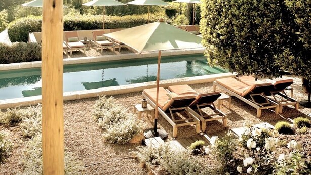 A pool area with lounge chairs and umbrellas, surrounded by well-maintained hedges and a palm tree. - Toile Blanche (Saint-Paul-de-Vence)