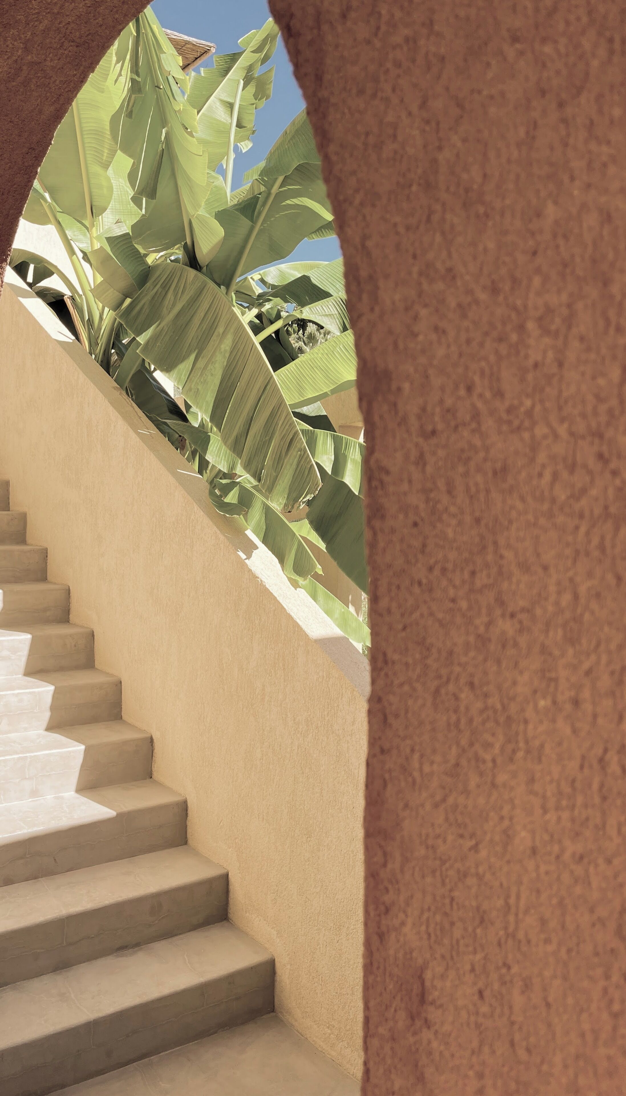 Un escalier avec un mur à texture et une vue sur des feuilles de bananier.