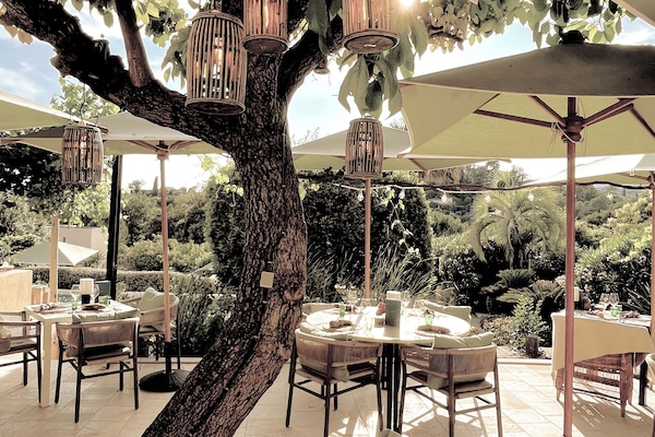 Mittagessen, Abendessen, moderne, europäische Küche, Blick auf den Pool