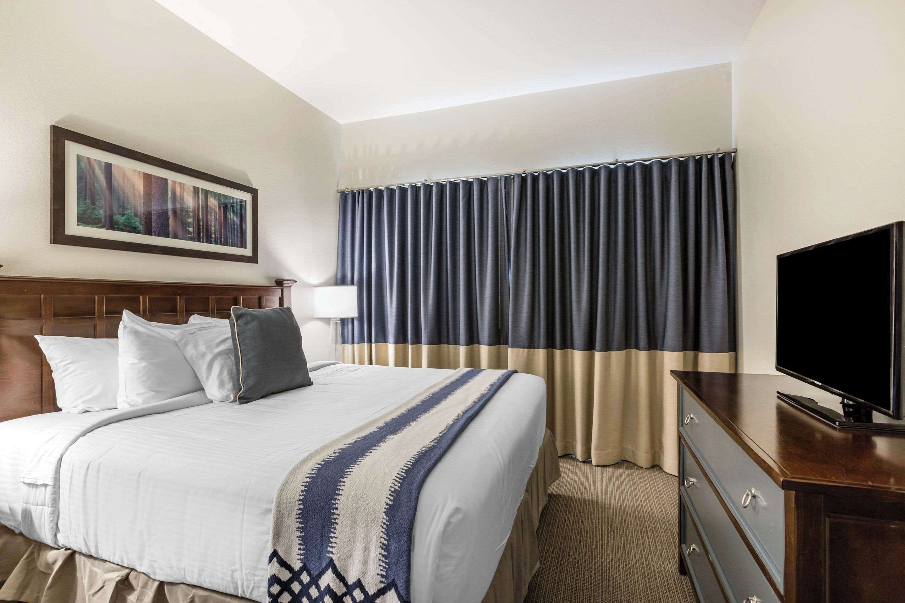 A hotel room with a bed, a TV, a dresser, a painting on the wall, and a window with curtains.