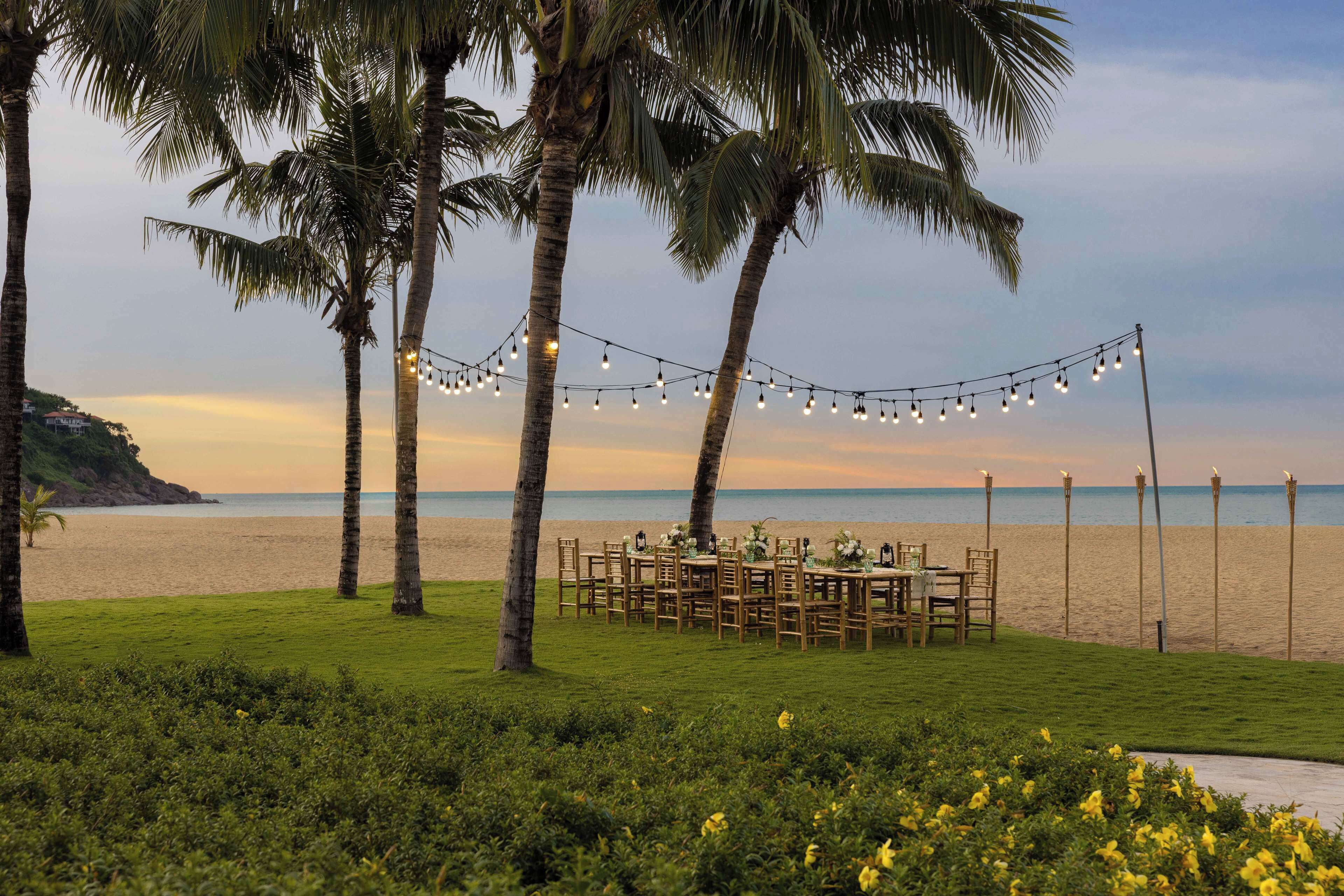 A beachside dining setup with string lights, palm trees, and a view of the ocean.