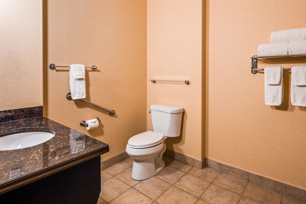 standard room, 1 king bed, accessible, non smoking | bathroom | hair dryer, towels, soap, shampoo