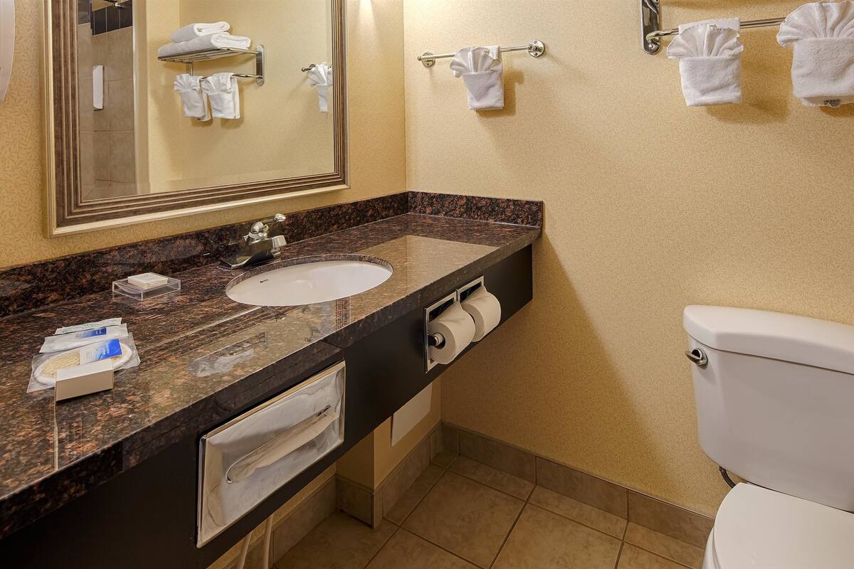 hair dryer, towels, soap, shampoo