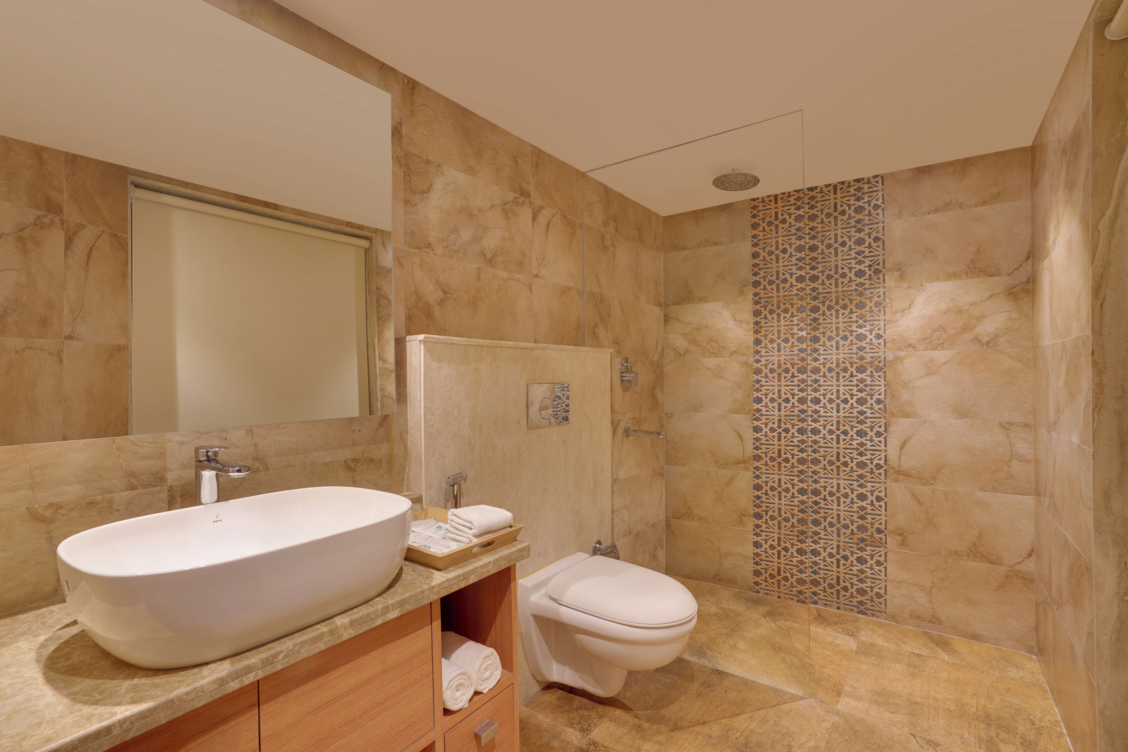 A modern bathroom with a large oval sink, a toilet, and a shower area.