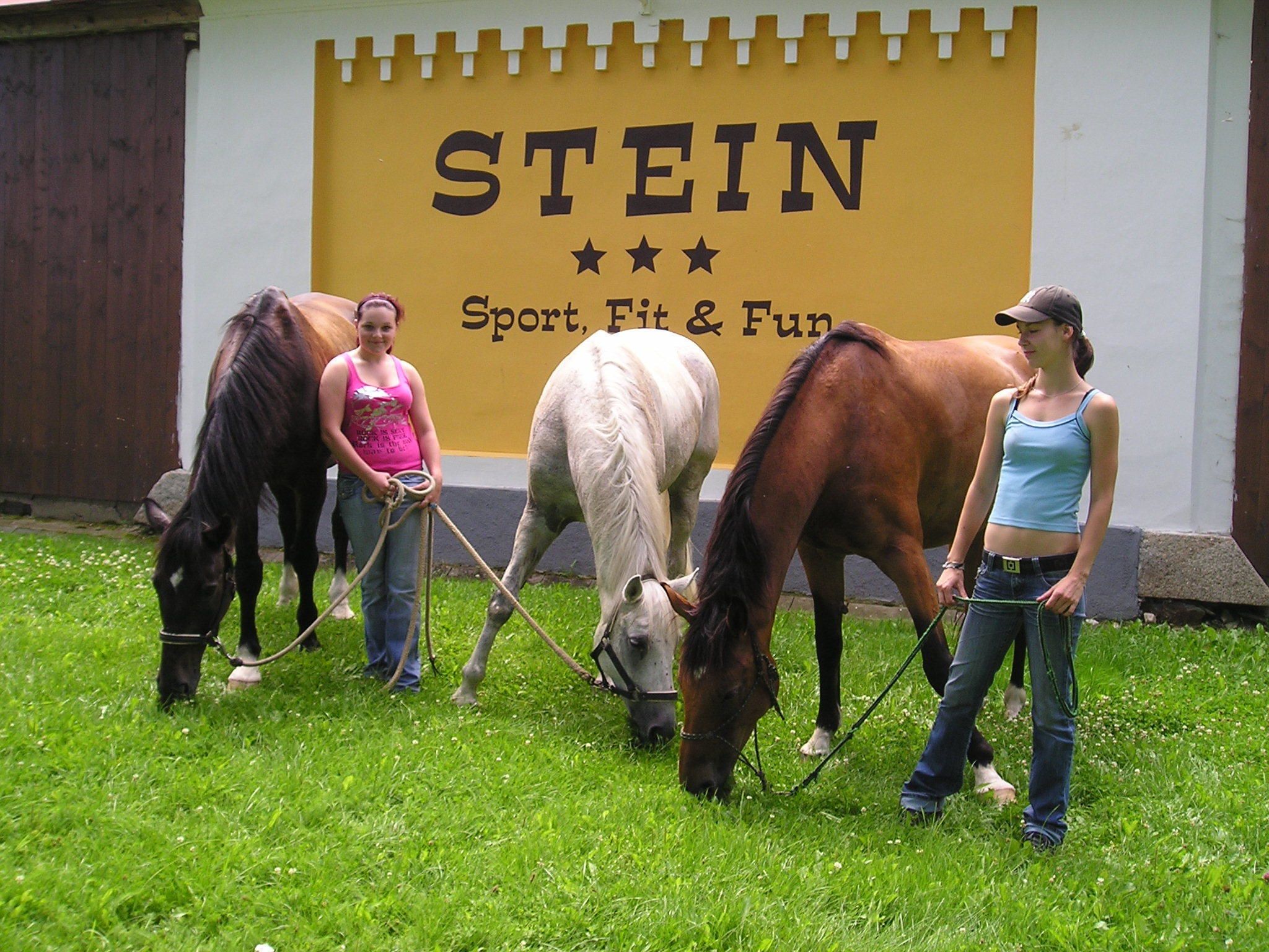 A group of people with horses in a grassy area with a wall in the background displaying the word "STEIN" and the phrase "Sport, Fit & Fun".