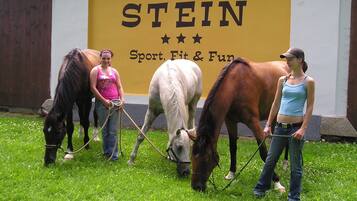 A group of people with horses in a grassy area with a wall in the background displaying the word "STEIN" and the phrase "Sport, Fit & Fun".