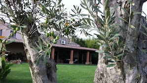 Un bâtiment doté d’un toit en tuiles, entouré d’une pelouse bien entretenue et d’oliviers.