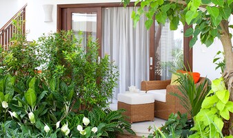 Vista desde la habitación