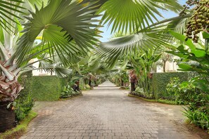 Entrada da propriedade