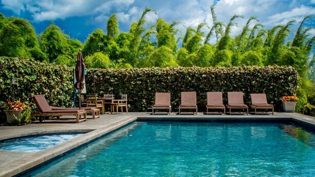 A swimming pool with lounge chairs and a hedge.
