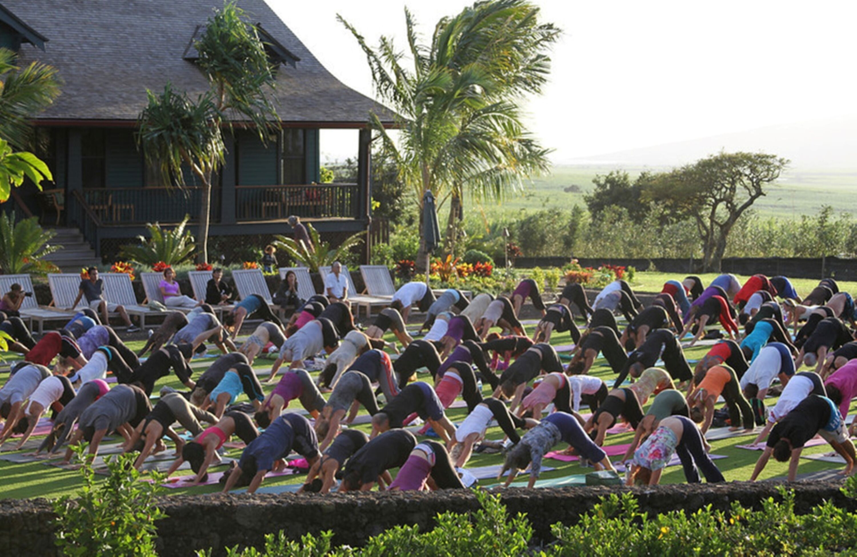 Eine Gruppe von Menschen praktiziert Yoga auf Yogamatten im Freien vor einem Gebäude mit einem Balkon.