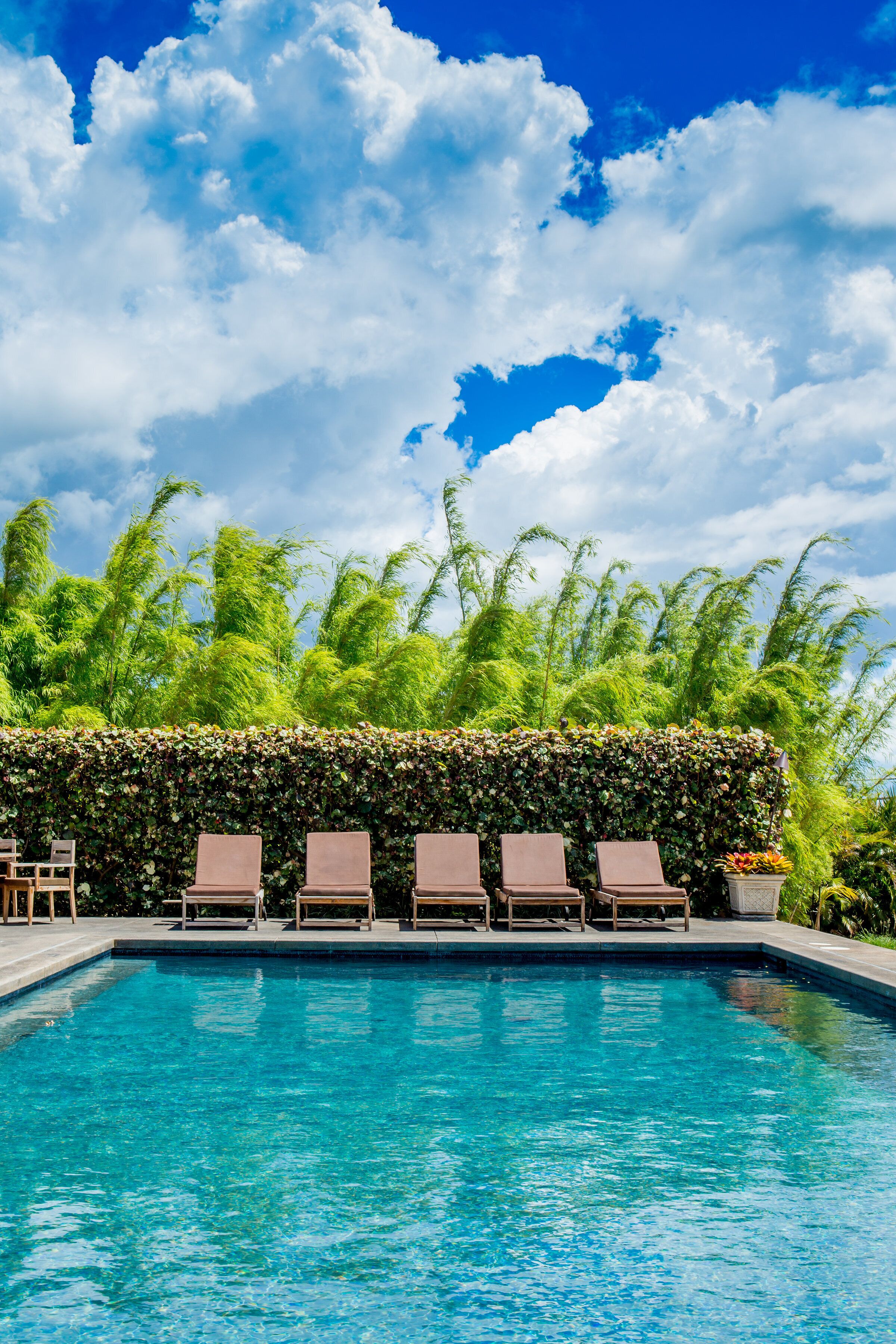 Hồ bơi ngoài trời 