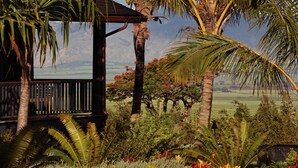 A wooden structure with a balcony overlooking a garden with palm trees and red flowers.
