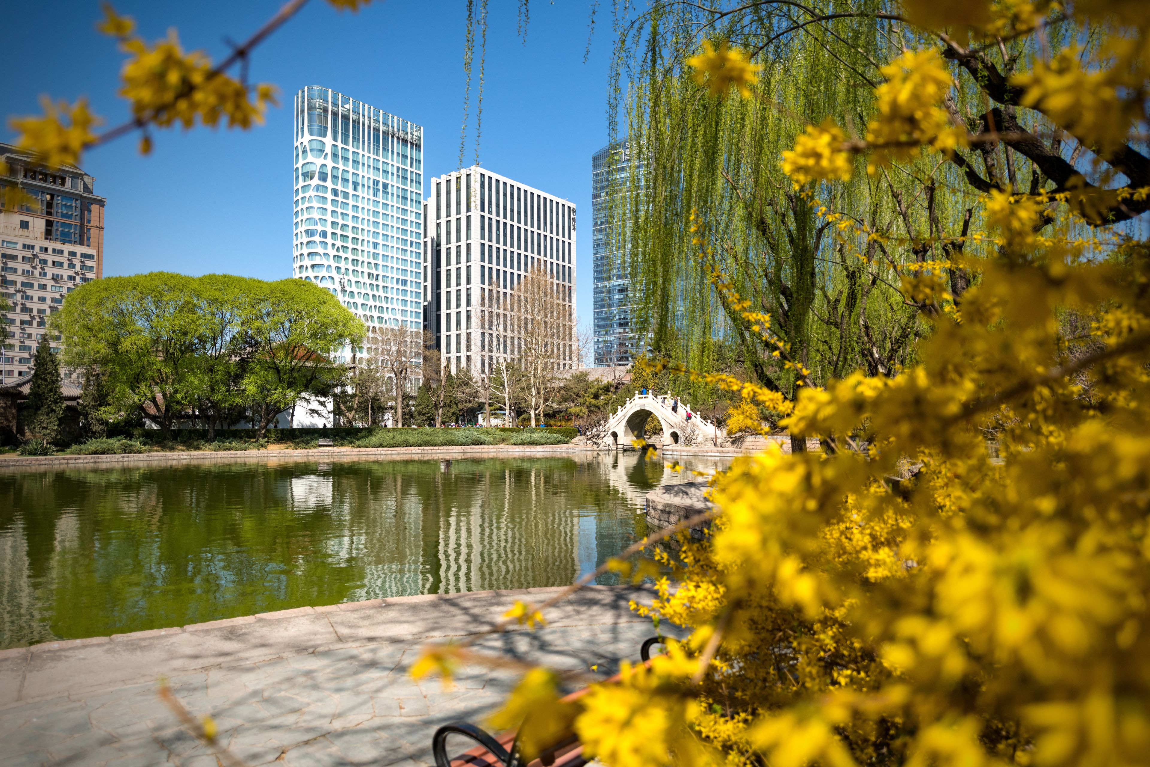 1 king presidential suite | park view