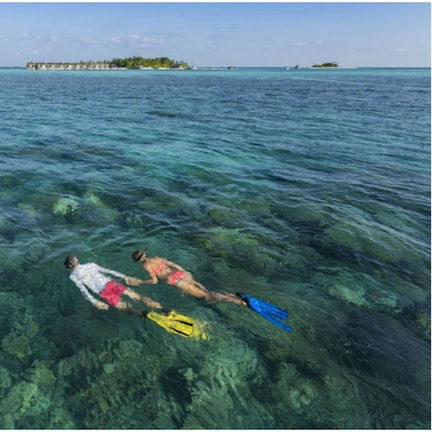 Two people snorkeling in clear blue water with a distant island in the background.