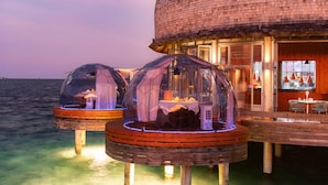 Un hotel frente al mar con bungalows sobre el agua que incluyen cúpulas transparentes, terrazas de madera y vistas al océano.