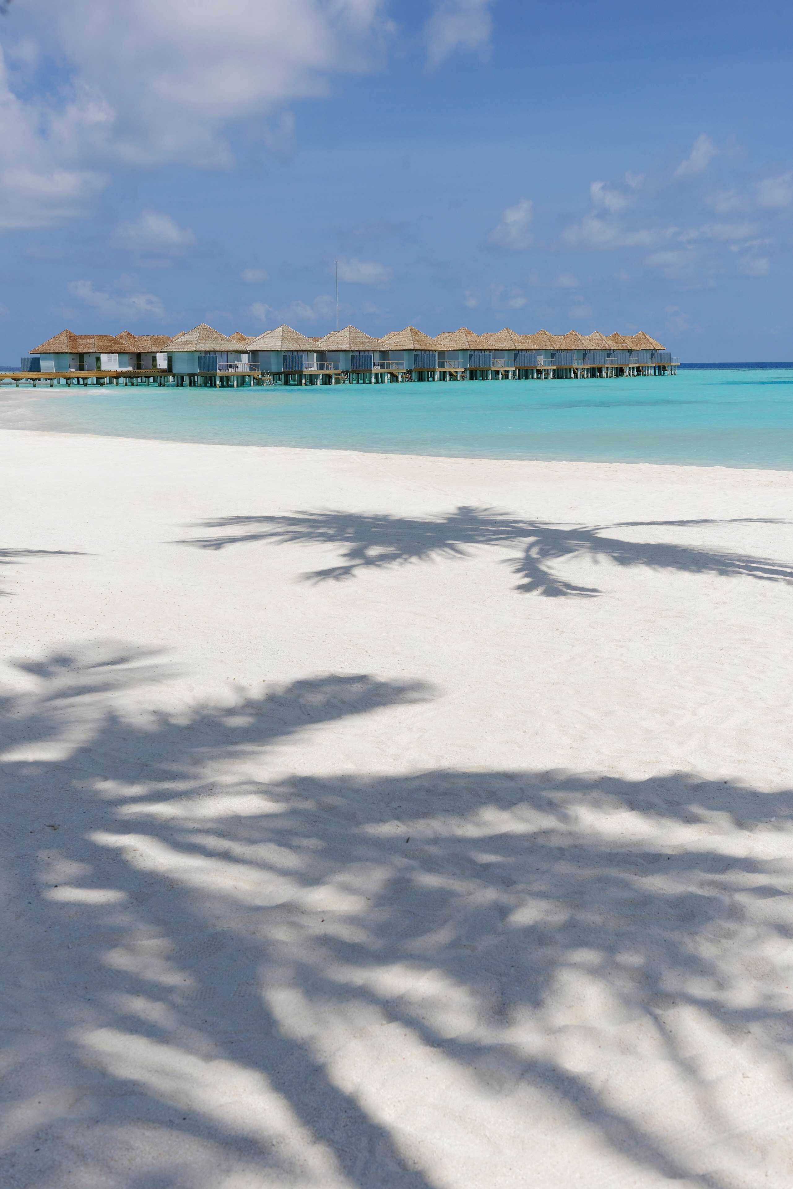 Plage privée, sable blanc, cabines gratuites, chaises longues