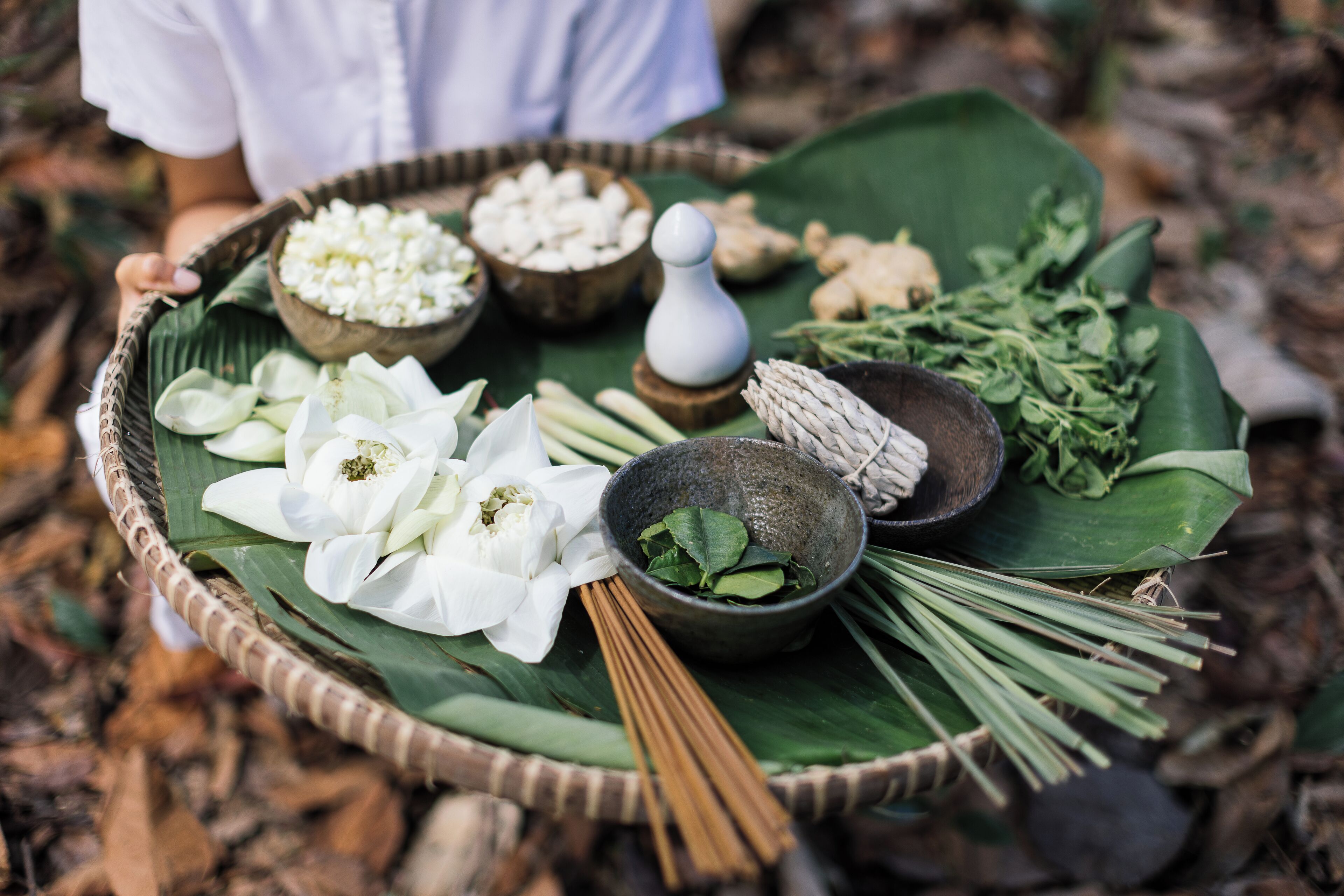 A basket with various items including white flowers, green leaves, and a white object on a green leaf.