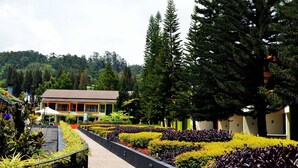 Un hotel con un camino en un jardín, rodeado de setos bien cuidados y árboles altos.