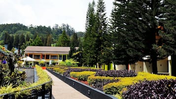 Taman