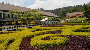 Un hotel de diseño moderno, con un jardín bien cuidado y varios tipos de plantas, así como un sendero.