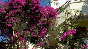 A multi-story building with balconies covered in vibrant pink bougainvillea vines. - Hotel Pataros (Kas)