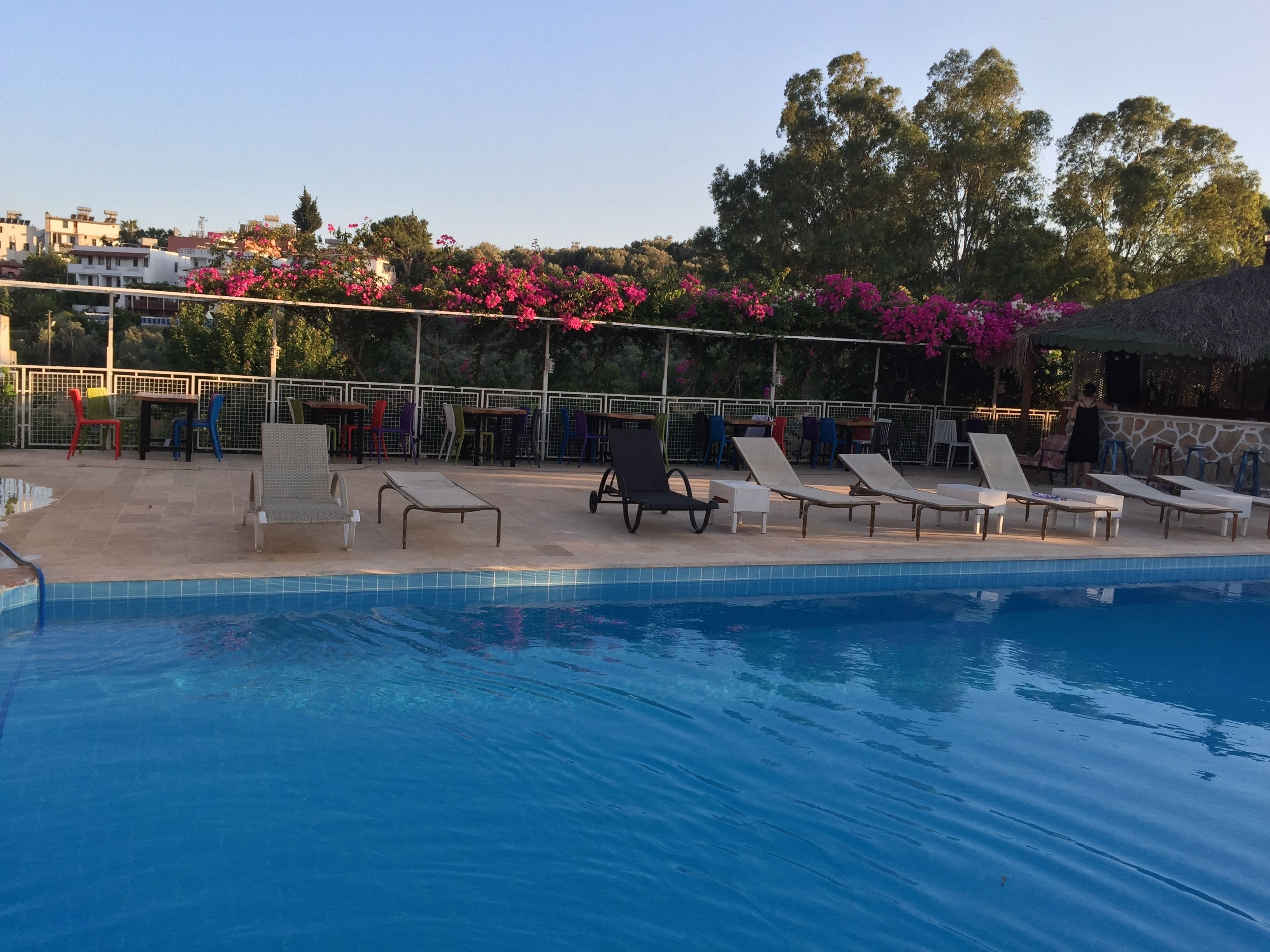 outdoor pool, pool umbrellas, pool loungers