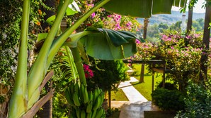 A garden pathway surrounded by lush greenery and flowering plants. - Hotel Pataros (Kas)